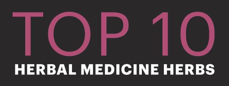 Top-10-Medicinal-Herbs