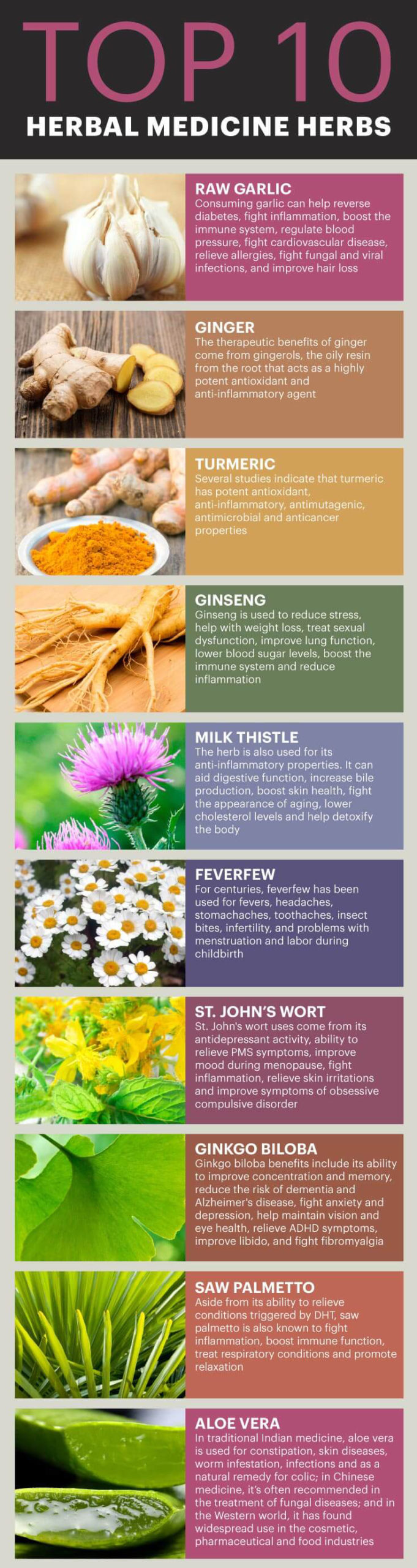 Top 10 Medicinal Herbs