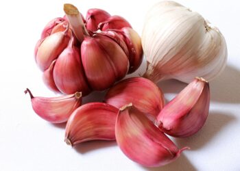 Health benefits of garlic