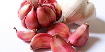 Health benefits of garlic