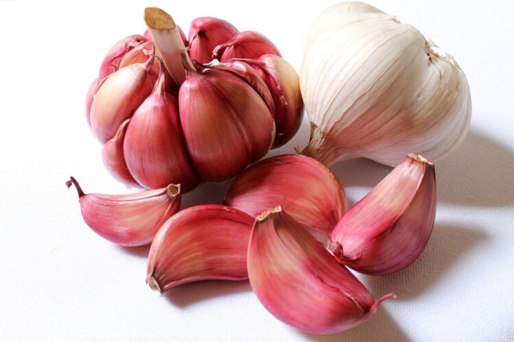 Health benefits of garlic