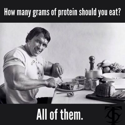 protein grams