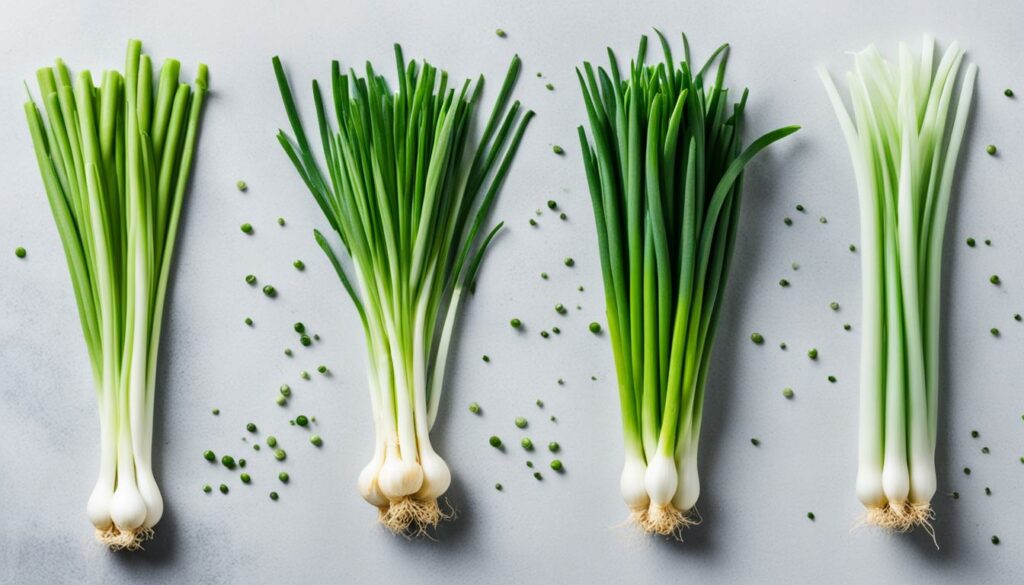 Scallions vs. Green Onions