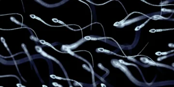 Selenium and Vitamin E for Male Fertility