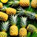 Sexual Health Benefits of Pineapple
