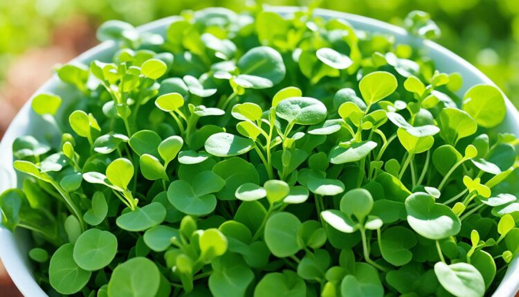 What are the benefits of eating watercress?