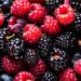 blackberry health benefits