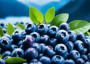 blueberries testosterone