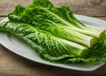romaine lettuce health benefits