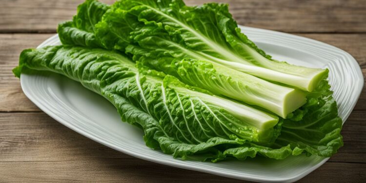 romaine lettuce health benefits