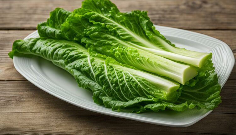 romaine lettuce health benefits