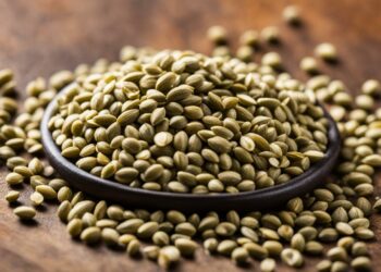 Hemp Seeds health benefits