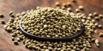 Hemp Seeds health benefits