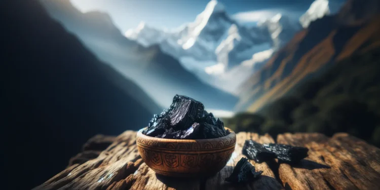 himalayan shilajit resin