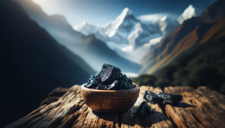 himalayan shilajit resin